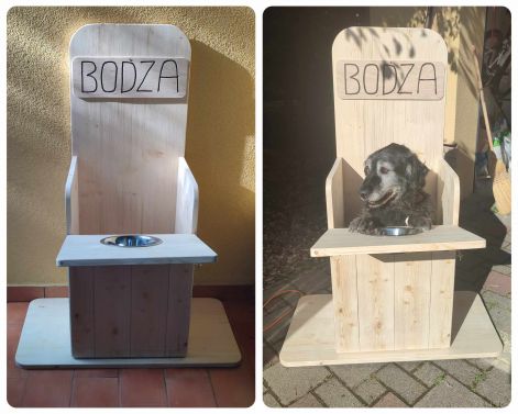 bodza.jpg
